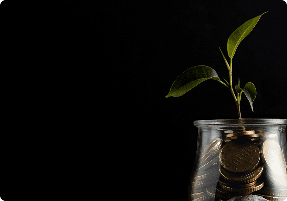 Revenue Growth